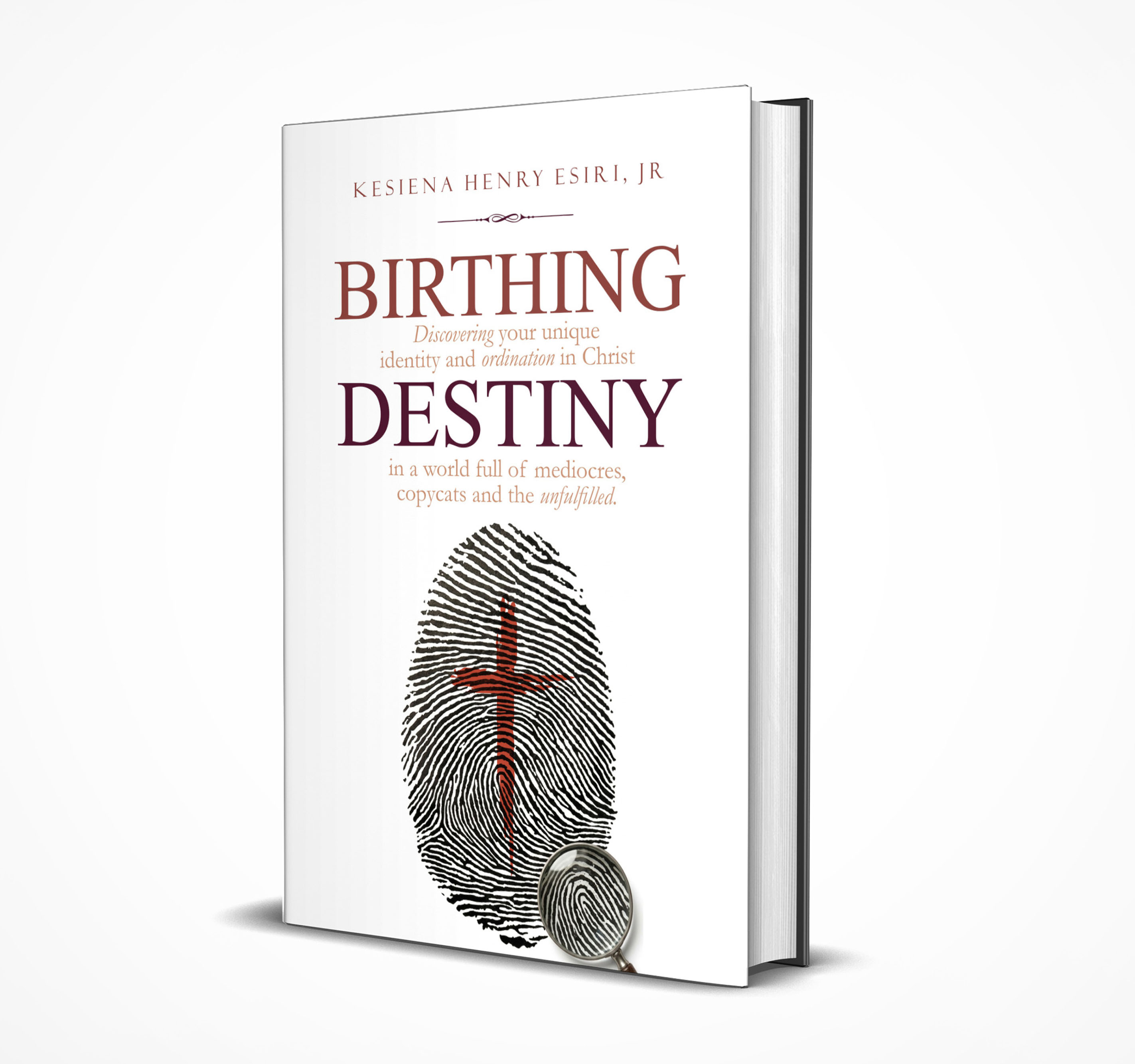 Birthing Destiny book cover