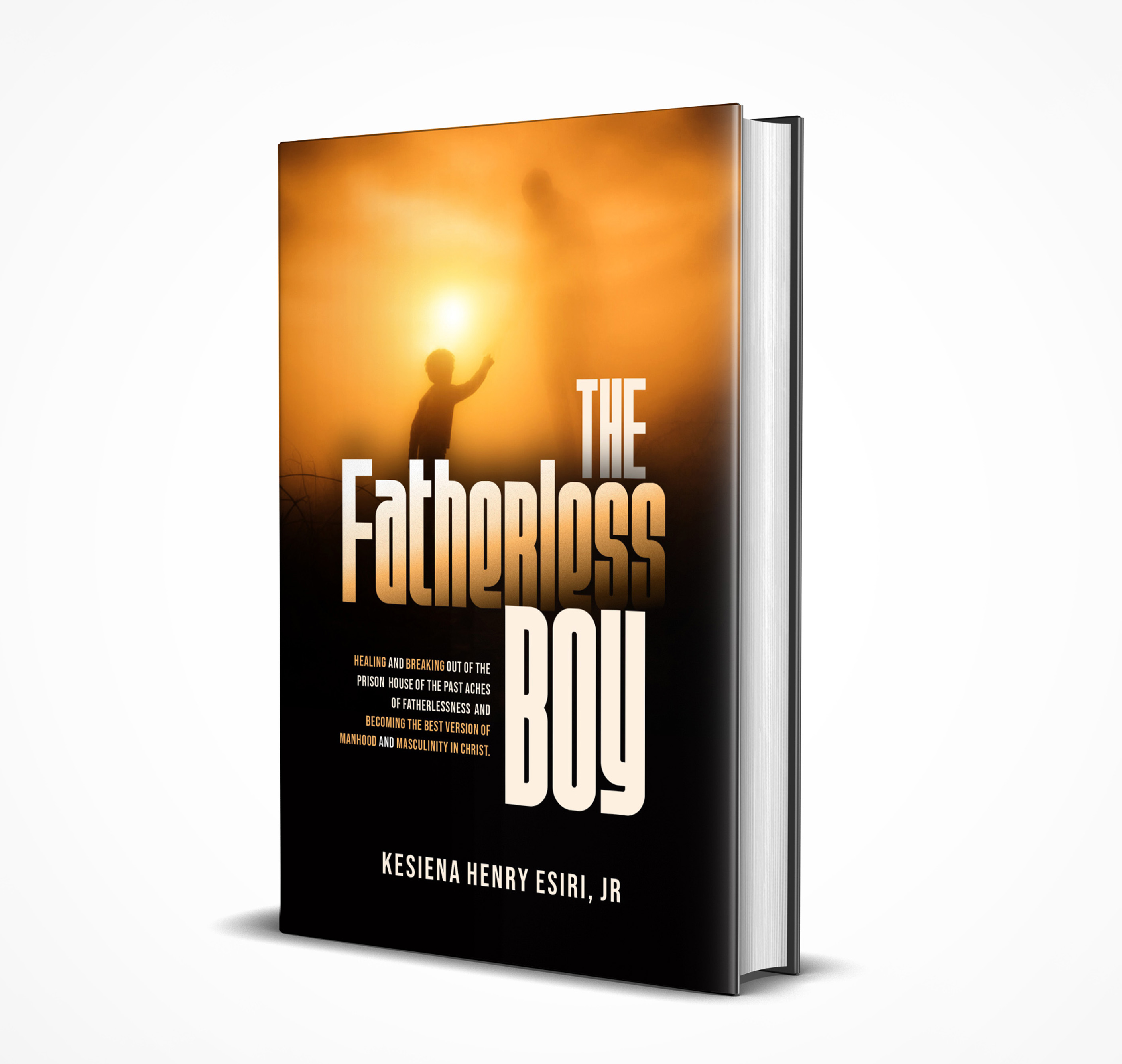 The Fatherless Boy book cover